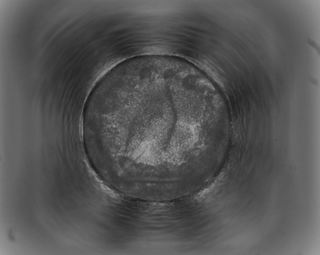 X0000098120839200804251450