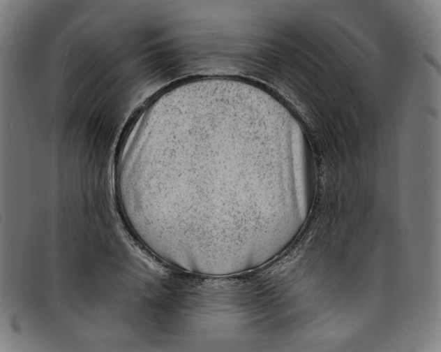 X0000098120840200804251450