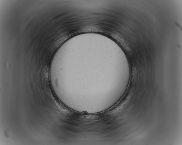 X0000098120841200804251450