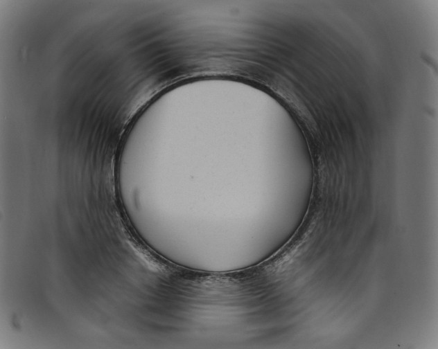 X0000098120842200804251450