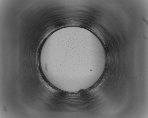 X0000098120843200804251450
