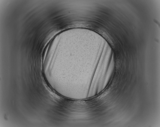 X0000098120844200804251450