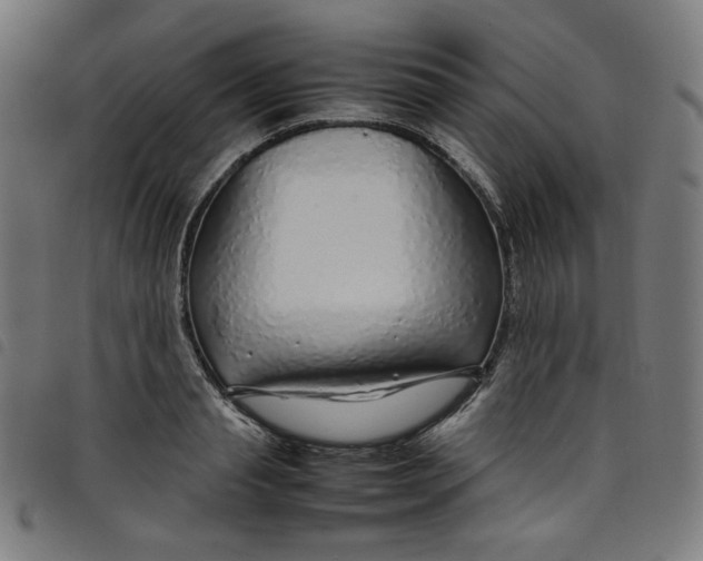 X0000098120845200804251450