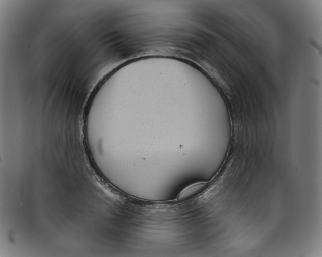 X0000098120846200804251450