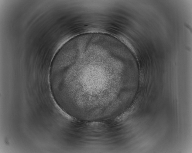 X0000098120847200804251450
