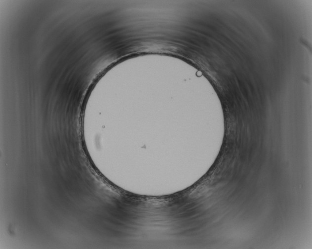X0000098120848200804251450
