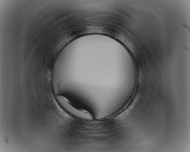 X0000098120849200804251450