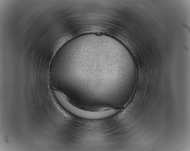 X0000098120850200804251450