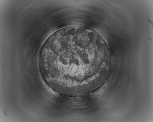 X0000098120851200804251450