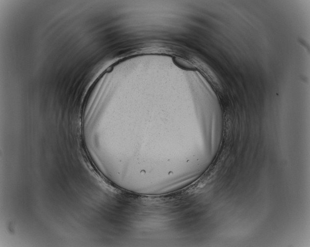 X0000098120852200804251450