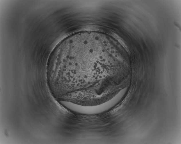 X0000098120853200804251450