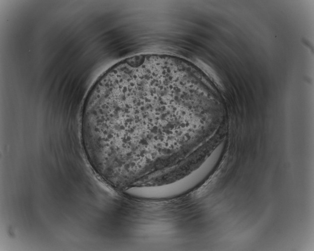 X0000098120854200804251450