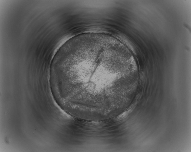 X0000098120855200804251450