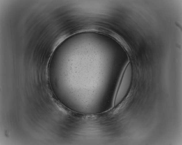 X0000098120858200804251450