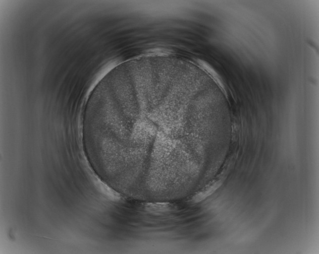 X0000098120859200804251450