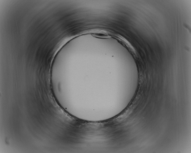 X0000098120860200804251450