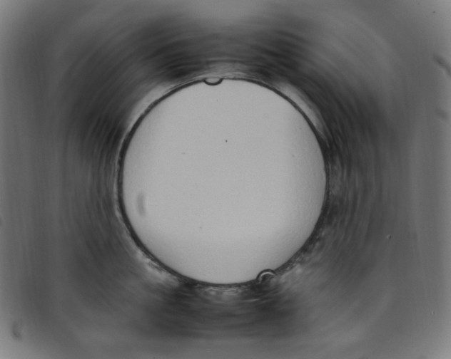 X0000098120861200804251450
