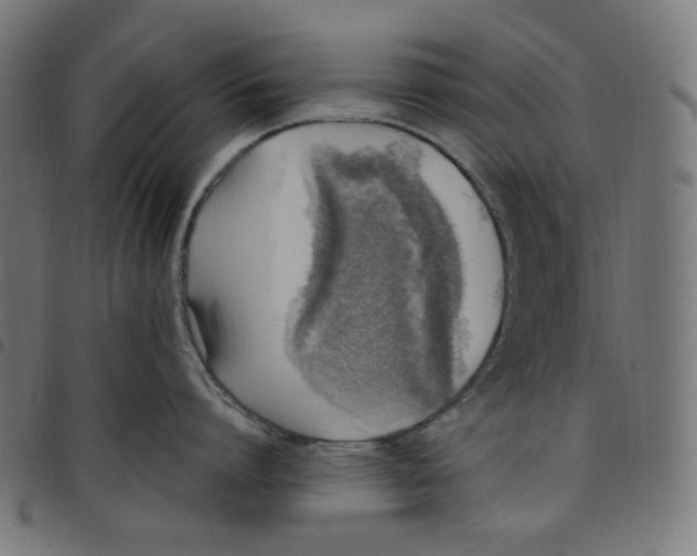 X0000098120864200804251450