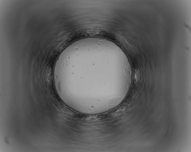 X0000098120867200804251450