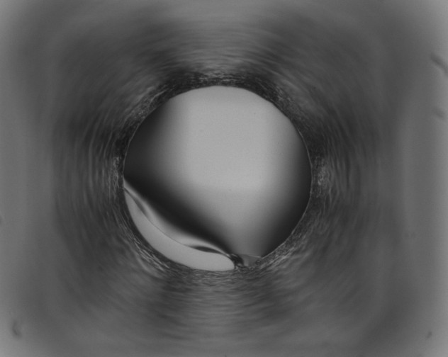 X0000098120868200804251449