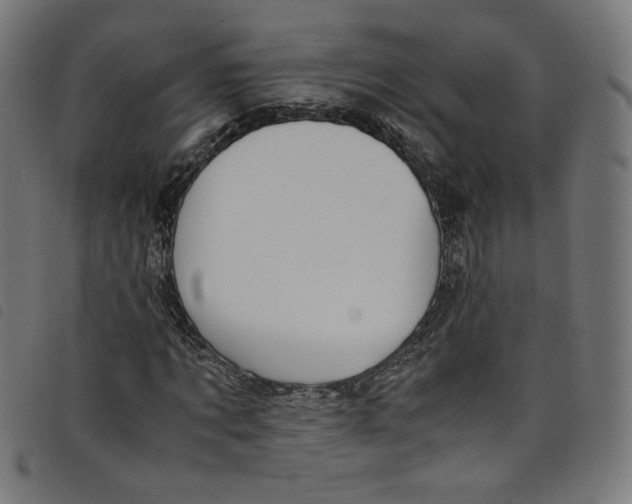 X0000098120869200804251449