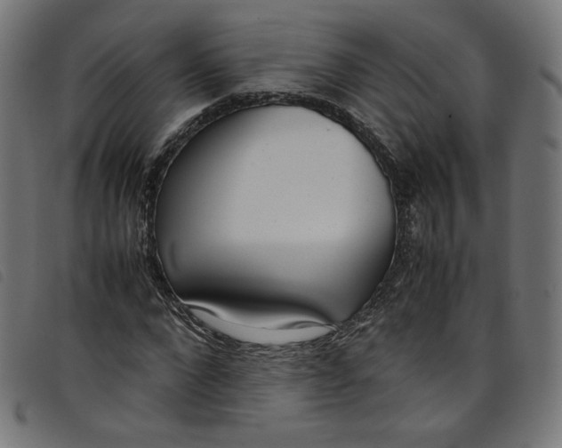 X0000098120872200804251449