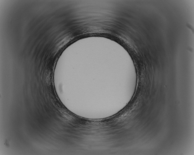X0000098120873200804251449