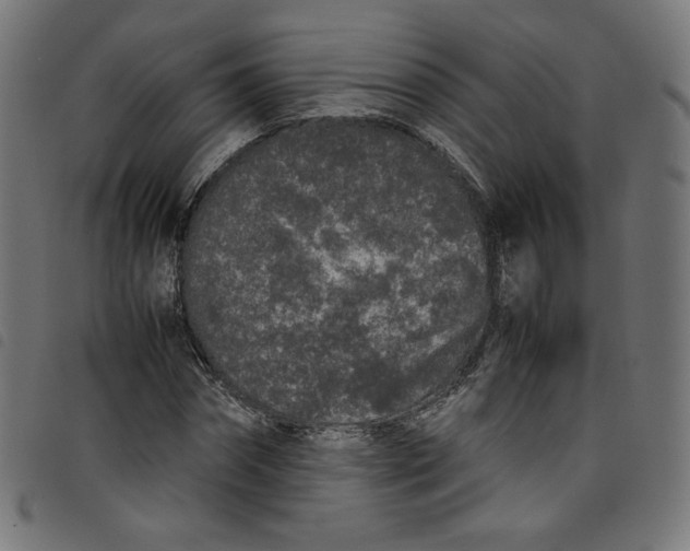 X0000098120874200804251449