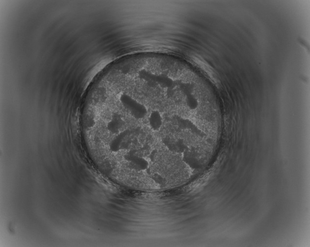 X0000098120875200804251449