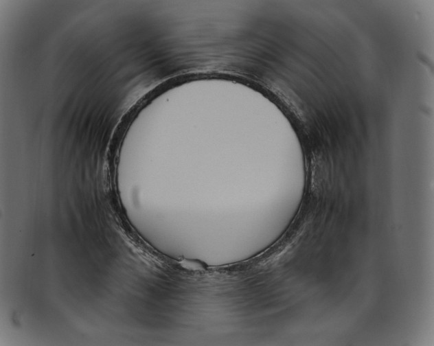X0000098120876200804251449