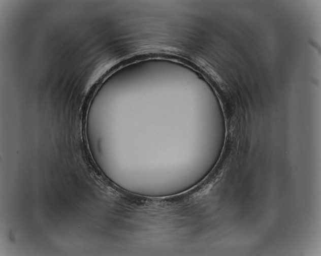 X0000098120877200804251449