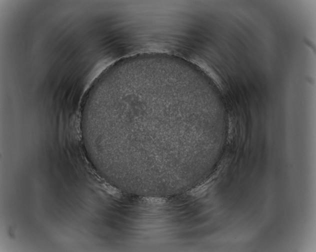 X0000098120878200804251449