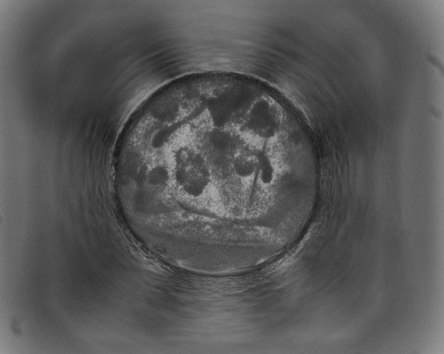 X0000098120879200804251449