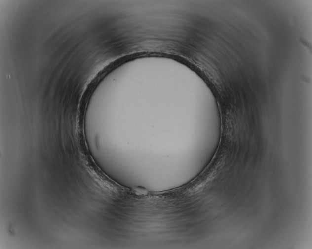 X0000098120880200804251449