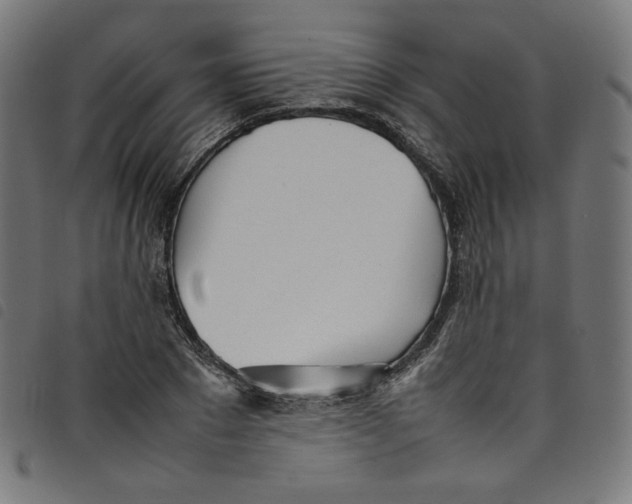 X0000098120881200804251449