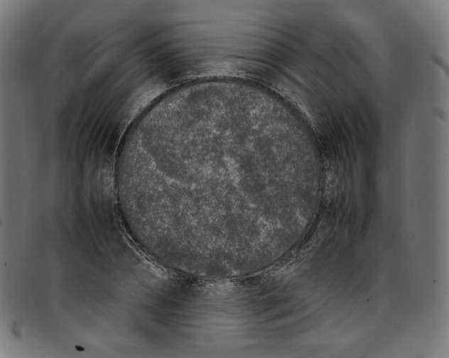 X0000098120882200804251449