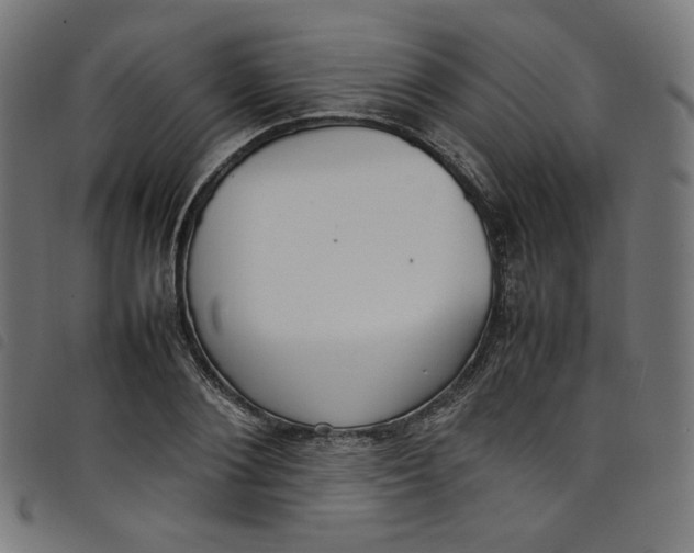 X0000098120884200804251449