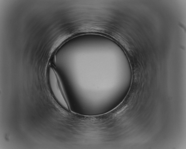 X0000098120885200804251449
