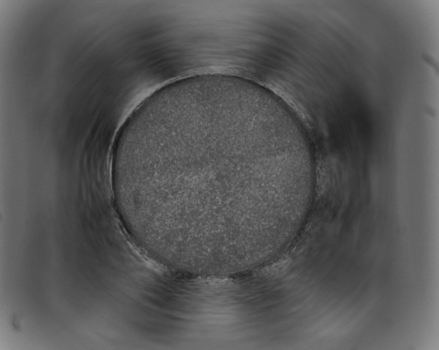 X0000098120886200804251449