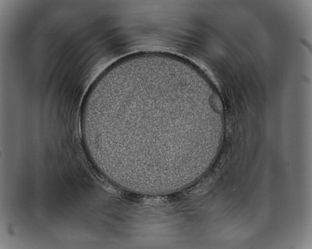 X0000098120887200804251449