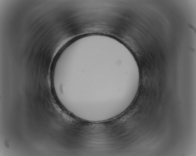 X0000098120888200804251449