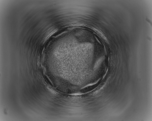 X0000098120889200804251449