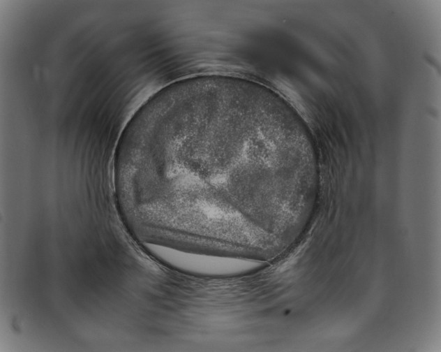 X0000098120891200804251449