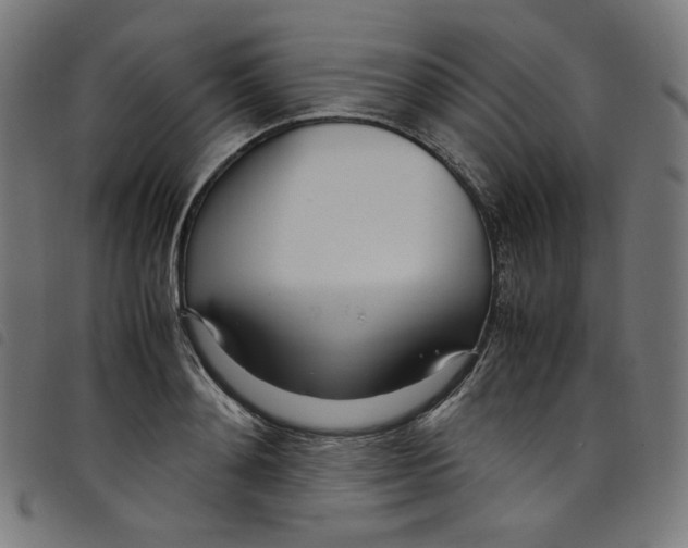 X0000098120892200804251449
