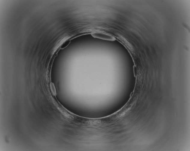 X0000098120893200804251449