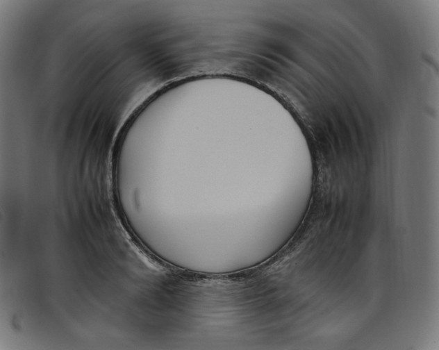 X0000098120894200804251449