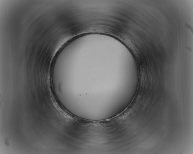 X0000098120896200804251449