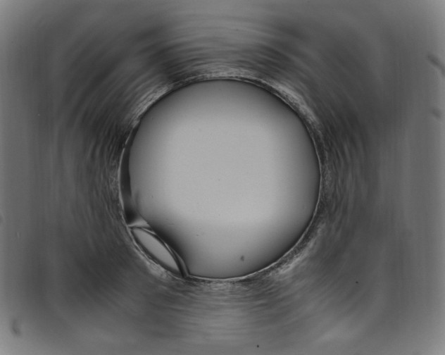 X0000098120897200804251449