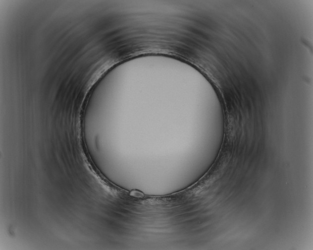 X0000098120898200804251449