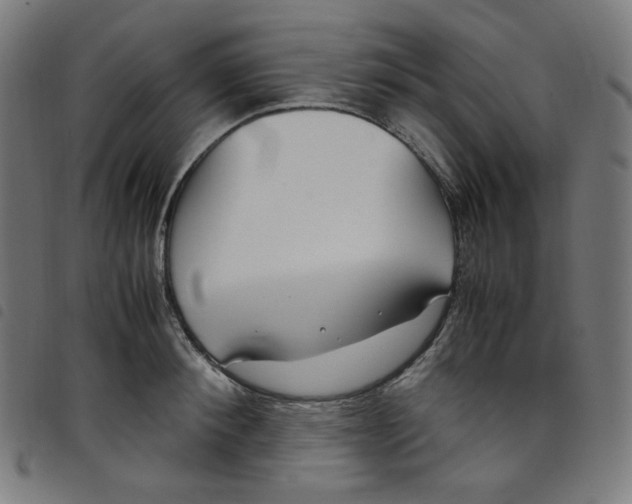 X0000098120900200804251449